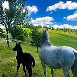Antica Torre Farm stay *