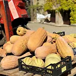 Farm stay Antica Torre