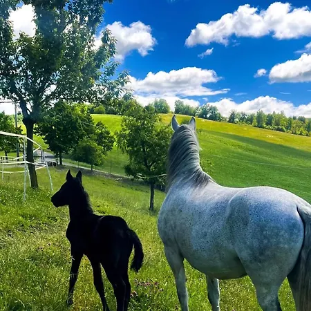 Antica Torre Farm stay *
