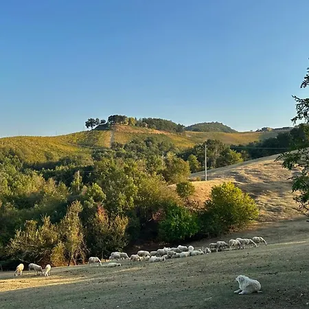 Antica Torre * Salsomaggiore Terme