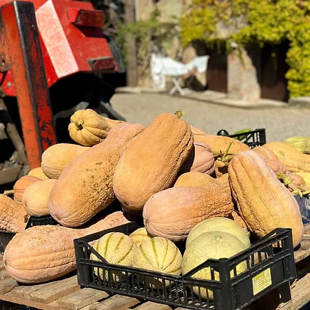 בית חווה Antica Torre