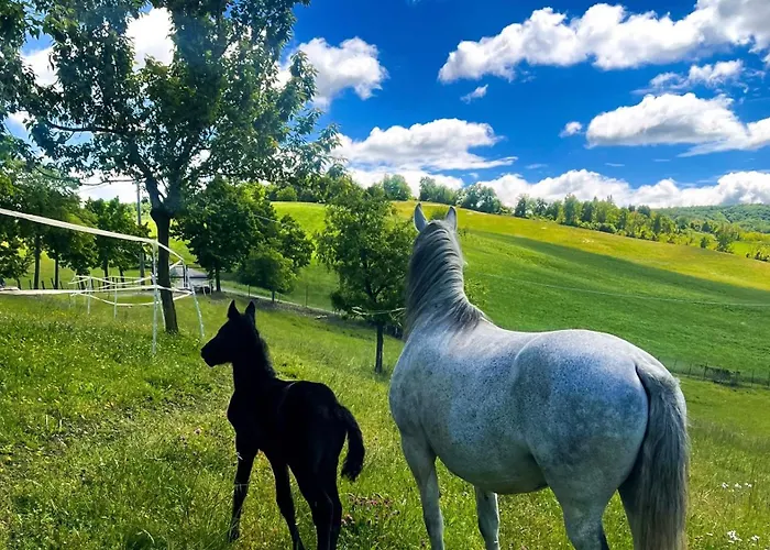 Antica Torre مزرعة للإقامة *