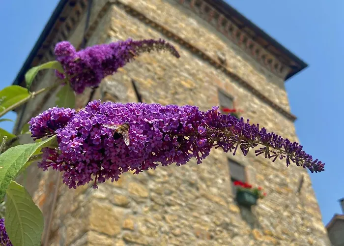 Alloggio per agriturismo Antica Torre *