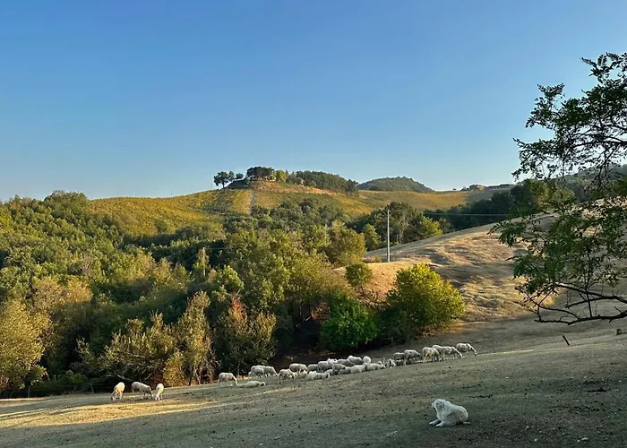 Antica Torre * Salsomaggiore Terme